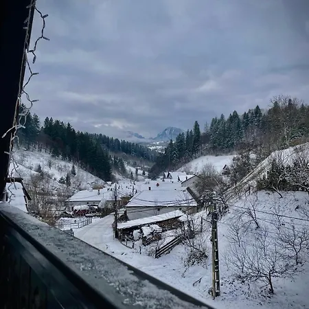 Pensiunea Maidali * Brasov