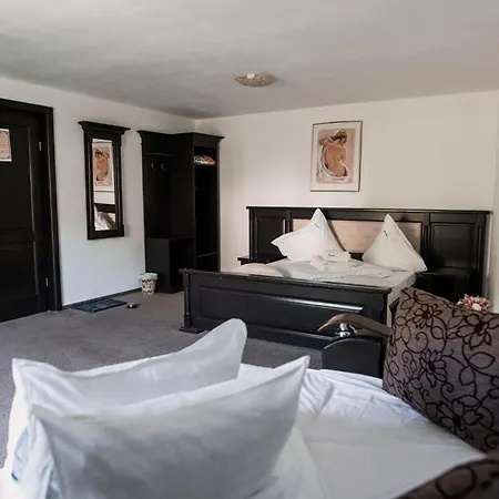 Pensiunea Maidali Guest house *