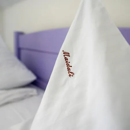 Pensiunea Maidali Guest house *