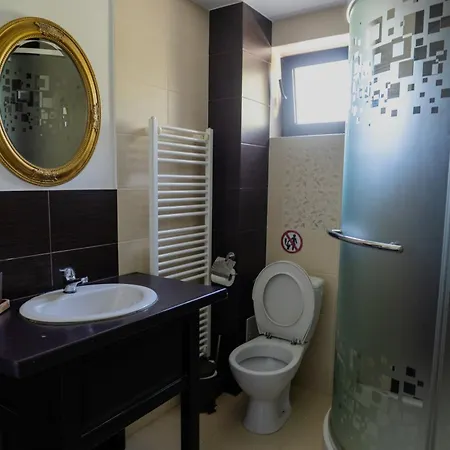 Pensiunea Maidali Guest house *