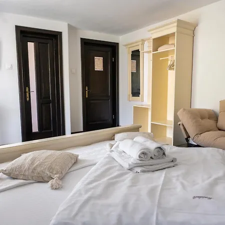 Guest house Pensiunea Maidali